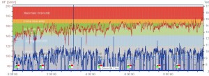 Comrades Polardata 2010