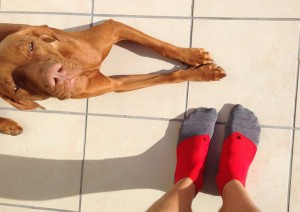 Amy seems not sore sure about my socks