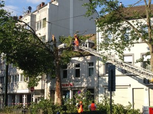 IMG_5475